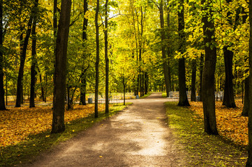 Paths and benches in catherine park in autumn