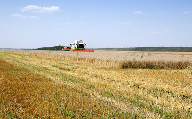 Harvester in the field 