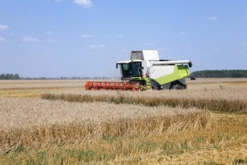 Harvester in the field 