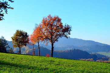 Herbst im Schwarzwald