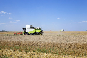 Harvester in the field  