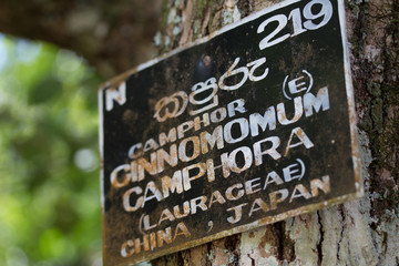 Schild, Sri Lanka