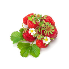 fresh strawberry