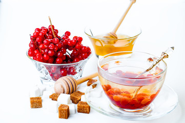 Hot herbal tea with honey and viburnum,
