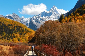  The Autumn at Yading Nature Reserve in Daocheng County ,China - 94797478