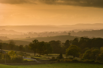 Golden light over countryside