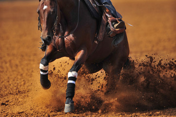 A close up view of a rider sliding the horse in the dirt