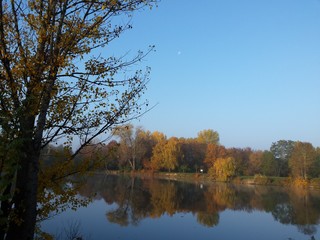 Bäume in Herbstfärbung spiegeln sich im See