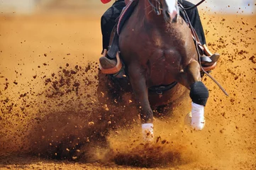 Aluminium Prints Horse riding A close up view of a rider sliding the horse in the dirt