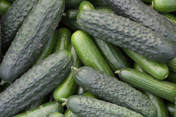 Pepinos