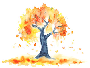 Watercolor autumn tree with yellow and orange leaves. Romantic leaf fall on white. Hand painting illustration.
