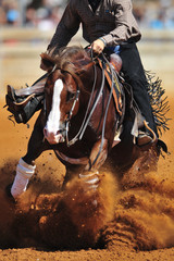 Obraz premium A close up view of a rider sliding the horse in the dirt