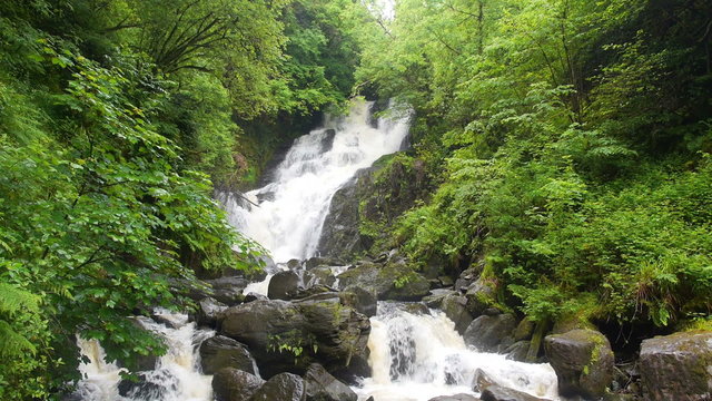 Torc Waterfall, an impressive waterfall surrounded by lush forest, in Killarney National Park in southern Ireland. HD 1080p seamless loop.