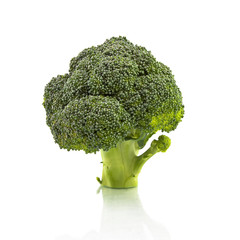 Piece of broccoli