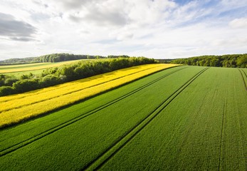 Luftbild - Mittelgebirge, Raps- und Getreidefelder mit Fahrgassen