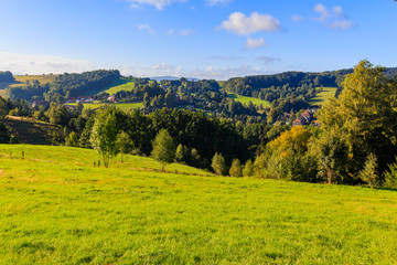 Obraz premium Panoramic landscape of colorful yellow-green hills, blue sky and clouds 