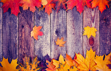Autumn leaves over wooden background toned