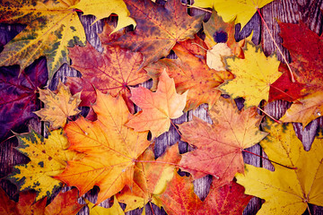 Naklejka na ściany i meble Autumn leaves over wooden background toned
