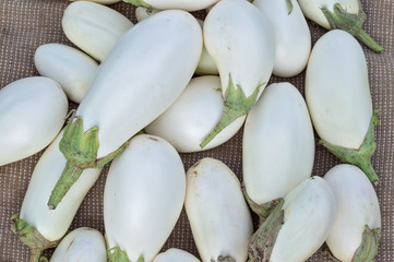 White ripe eggplants