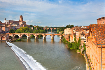 Fototapeta premium View of the Albi, France