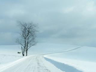 Minimalistic beautiful snow scene with road