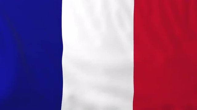 Flag of France, slow motion waving. Rendered using official design and colors. Highly detailed fabric texture. Seamless loop in full 4K resolution. ProRes 422 codec.