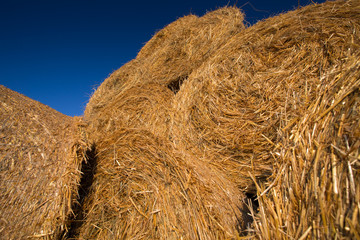 Piled hay bales on a field against blue sky