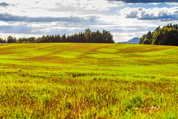 Fototapeta premium Panoramic landscape of colorful yellow-green hills, blue sky and clouds 