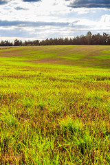 Fototapeta premium Panoramic landscape of colorful yellow-green hills, blue sky and clouds 