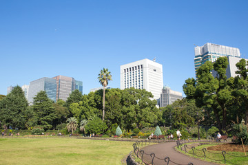 Obraz premium 皇居東御苑から見た東京大手町の高層ビル