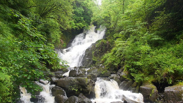 Slow motion waterfall in a rainforest. HD 1080p.