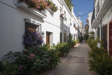 Fototapeta na wymiar calles del pueblo de Marbella adornada de plantas y flores