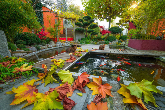 Privatgarten im Herbst