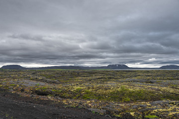Fototapeta na wymiar Icelandic natural volcanic landscape, summer time