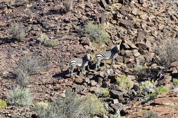Fish River Canyon -Namibia, Africa