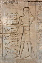 Egyptian hieroglyphics on the stone wall 