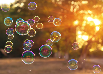 soap bubbles into the sunset with beautiful bokeh.close-up - obrazy, fototapety, plakaty