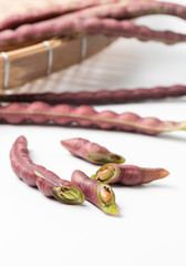 seed of purple cowpea isolated