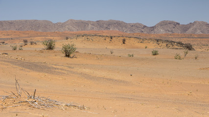 Fototapeta na wymiar desert near Dubai