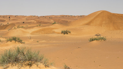Fototapeta na wymiar sand desert near Dubai