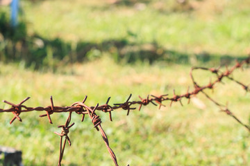Barbed wire, background and texture