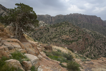 Wadi Dana