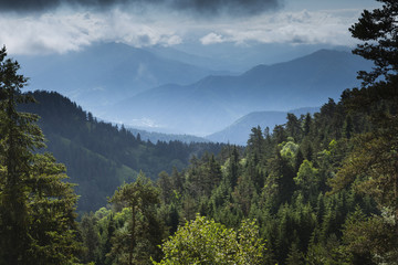 The Lesser Caucasus mountains around Borjomi