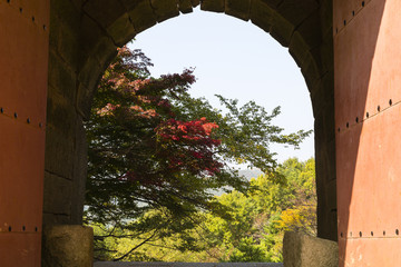 Fototapete bei efototapeten.de bestellen   