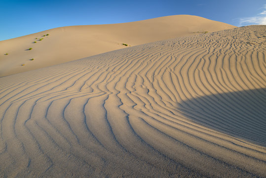 Fingerprints of a sand dune in ripples