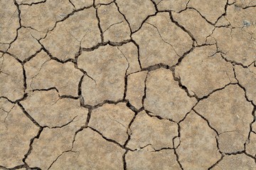 cracked earth