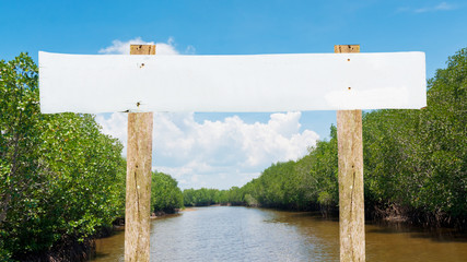 Wooden post at Mangrove forest