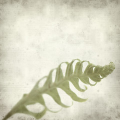 textured old paper background