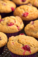 Cranberry Muffins