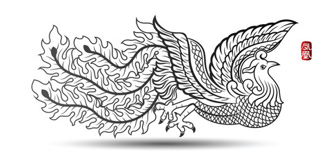 Fototapeta na wymiar Chinese phoenix